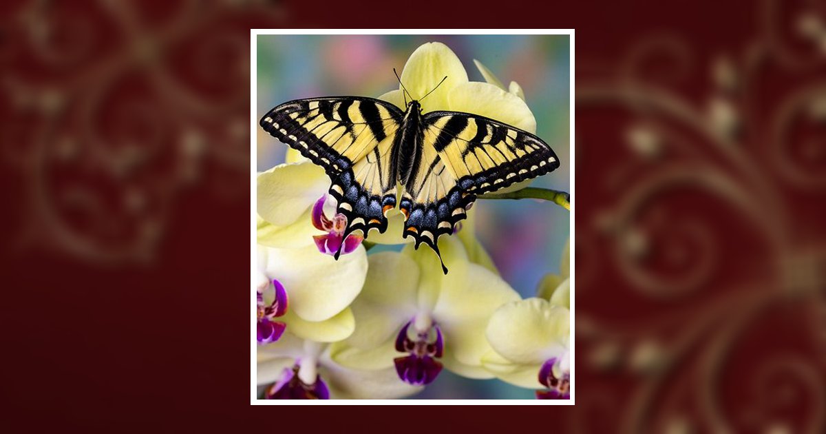 Theresa Marie Cotter Obituary, Scottsville, KY