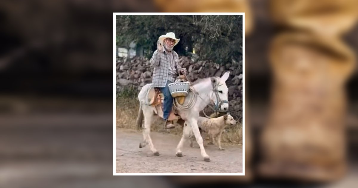 Heliodoro Murillo Obituary, Addison, IL