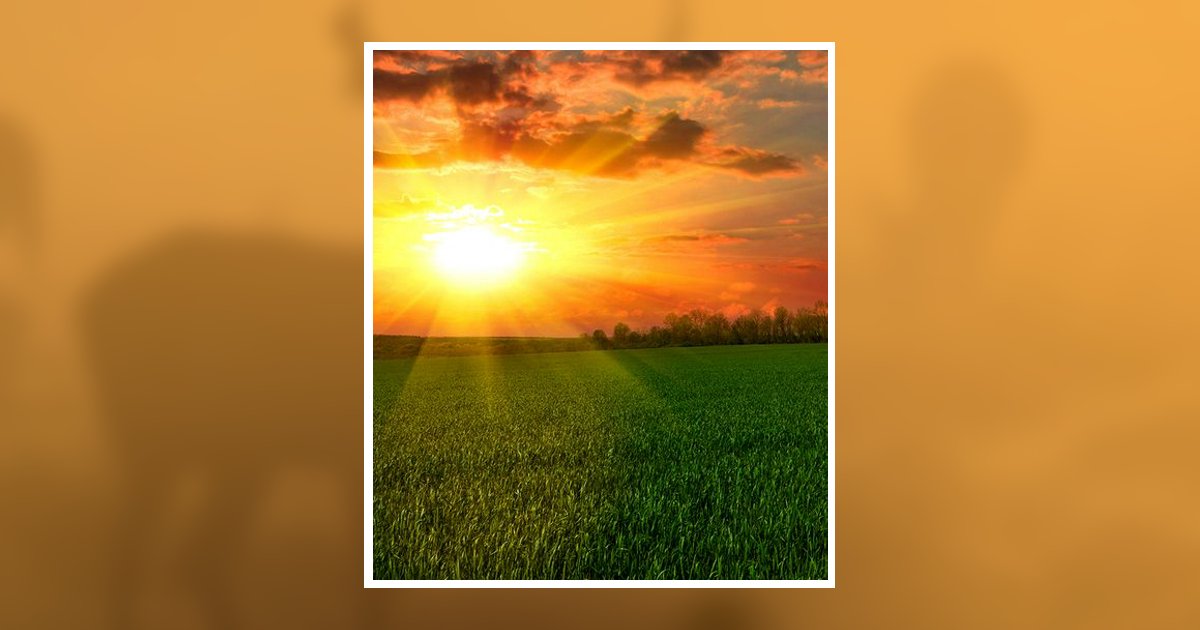 Laszlo Somlyay Obituary, Cheyenne, WY