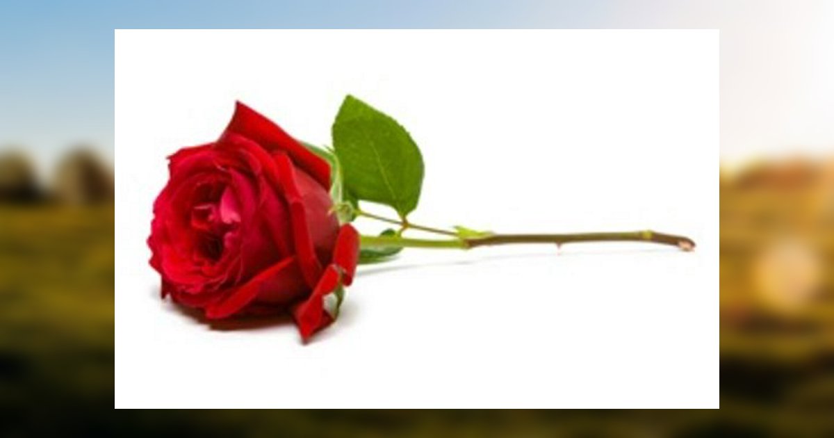 Maria Lorena Salazar Obituary 2014 Compean Funeral Home