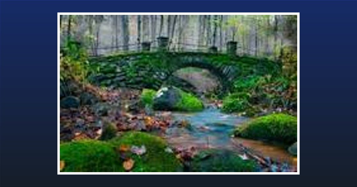 Mildred Fisher Obituary, Jacksonville, FL