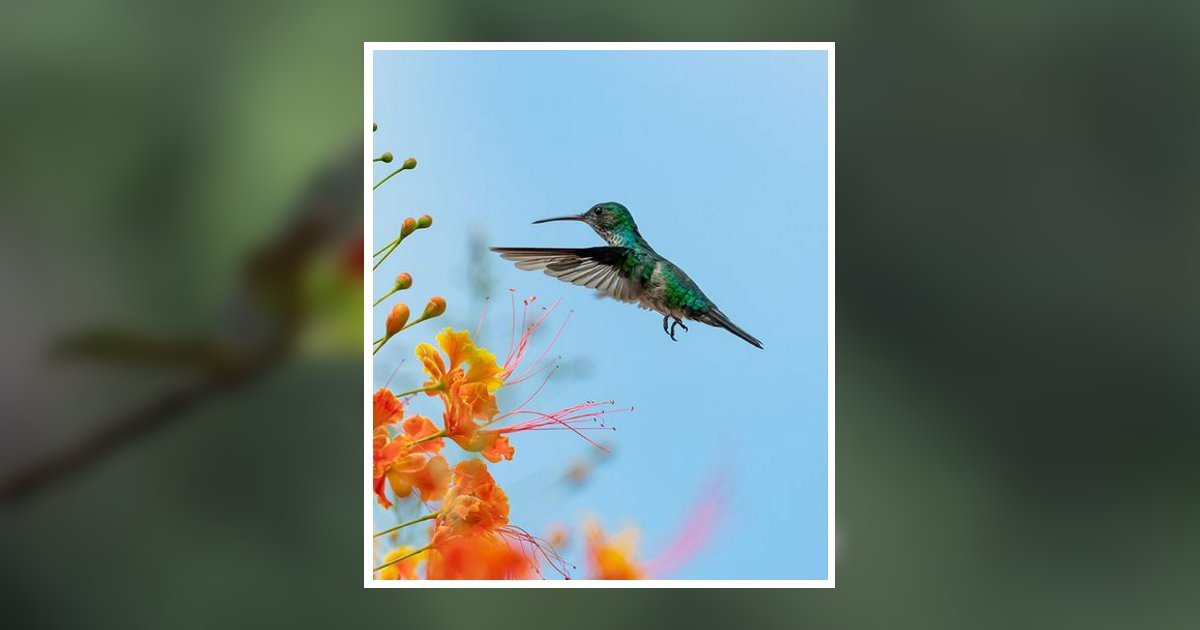 Bonnie Sue Maynard Obituary, Huntington, WV