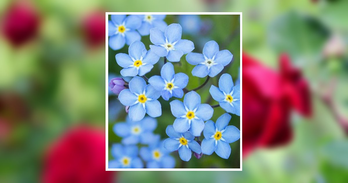 Karen Louise Sims Prescott Valley, AZ Obituary