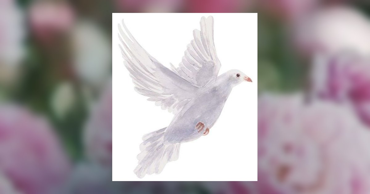 Picture Marian Villella Barrett