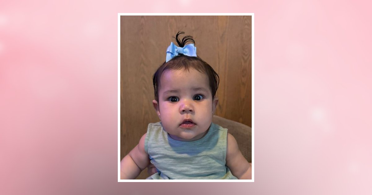 Future Reign Foster Obituary, Lake City, MN