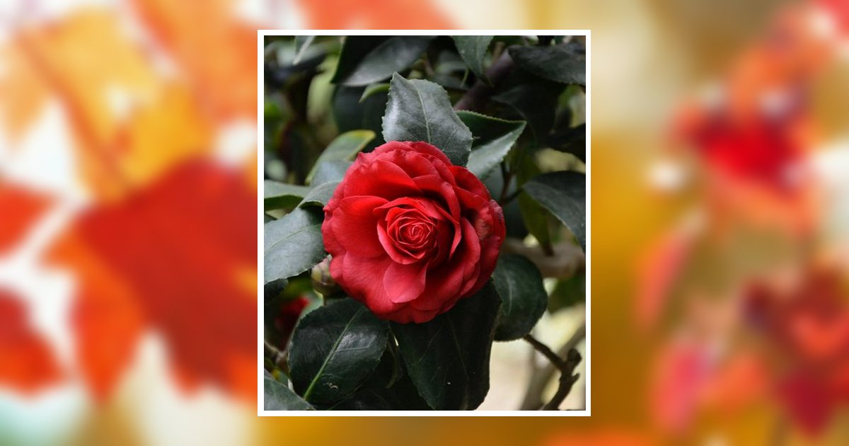 Joan Katherine Gray Obituary, Kent, OH