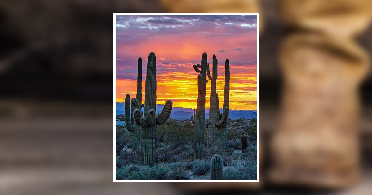 Steven D. Breeden Obituary, Cleburne, TX