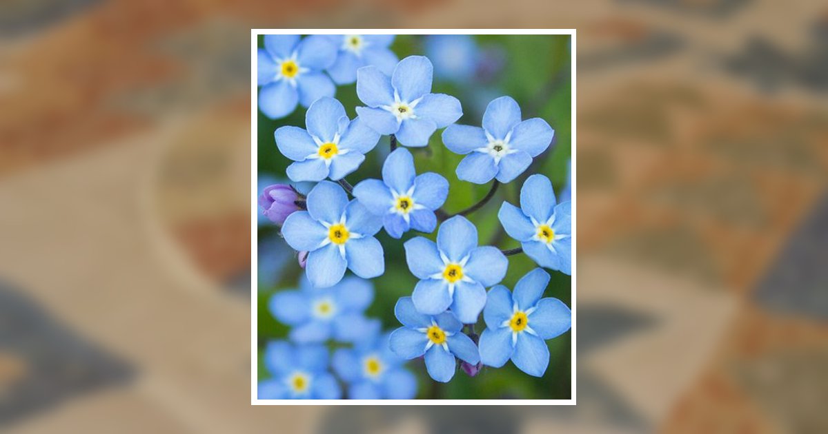 Mabel Zimmerman Weaver