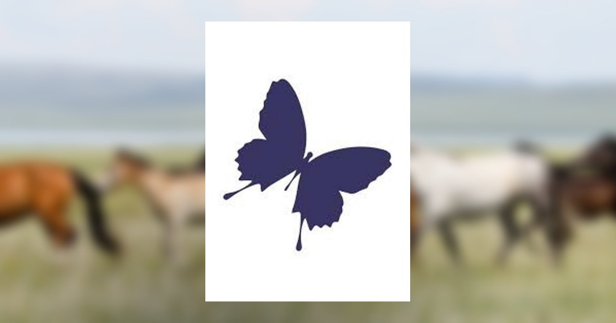 Bruce John Hornyak Obituary, Ashland, OH