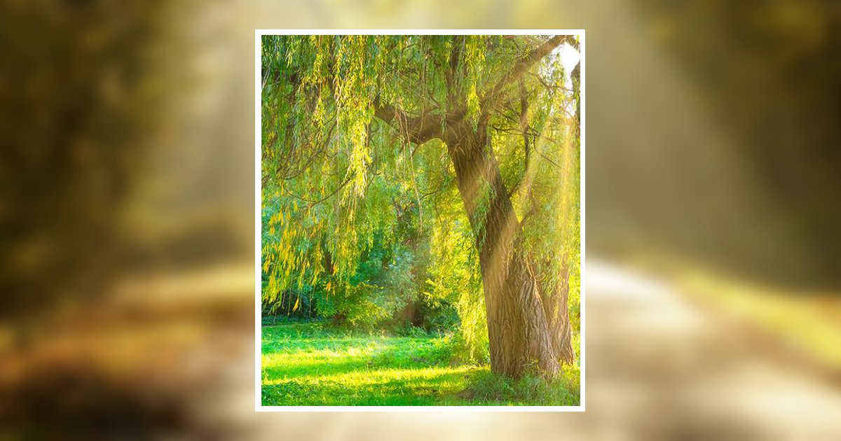 Terry John Mccue Obituary, Mount Carroll, IL