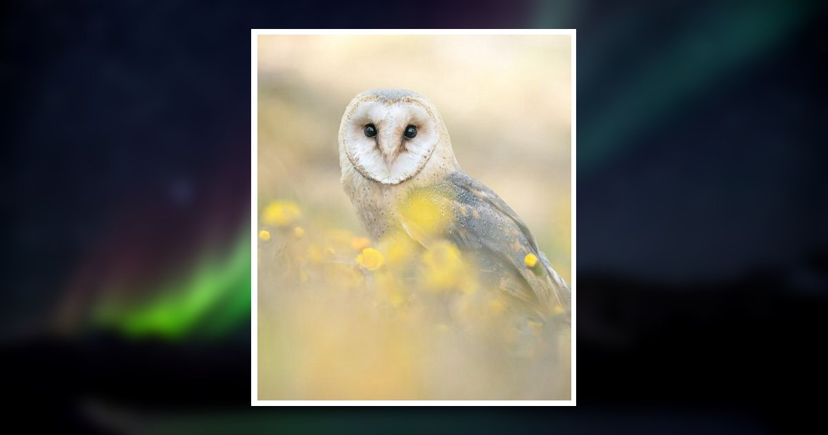 Norma F. Popper Obituary, Lomira, WI