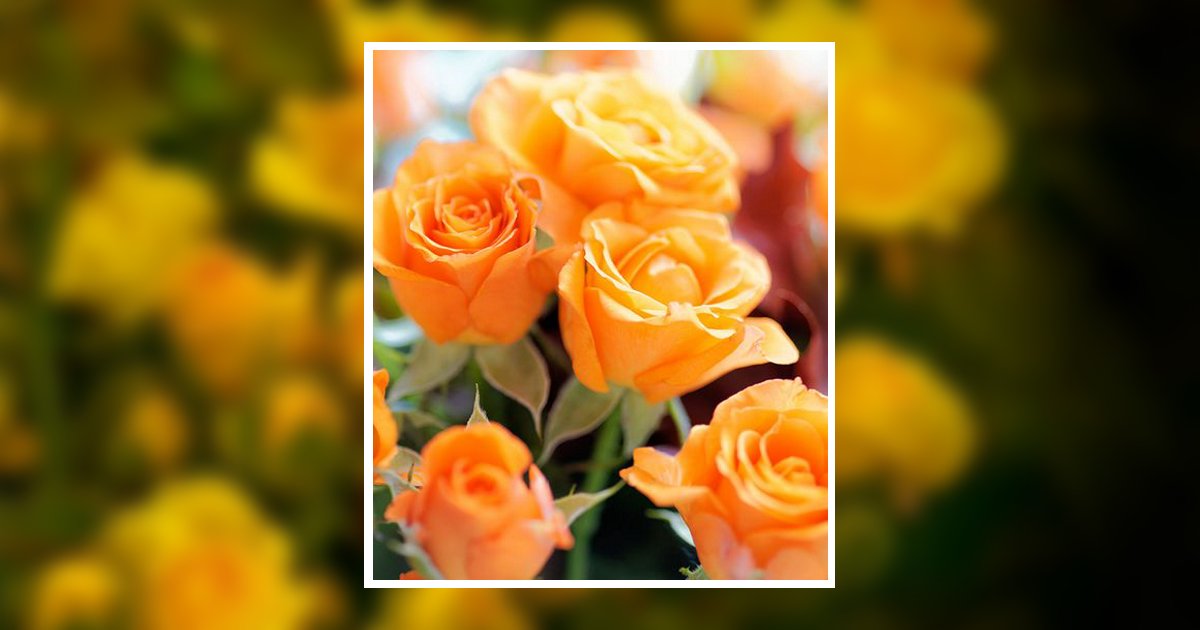 Kelly Anne Costello Obituary, Central Islip, NY