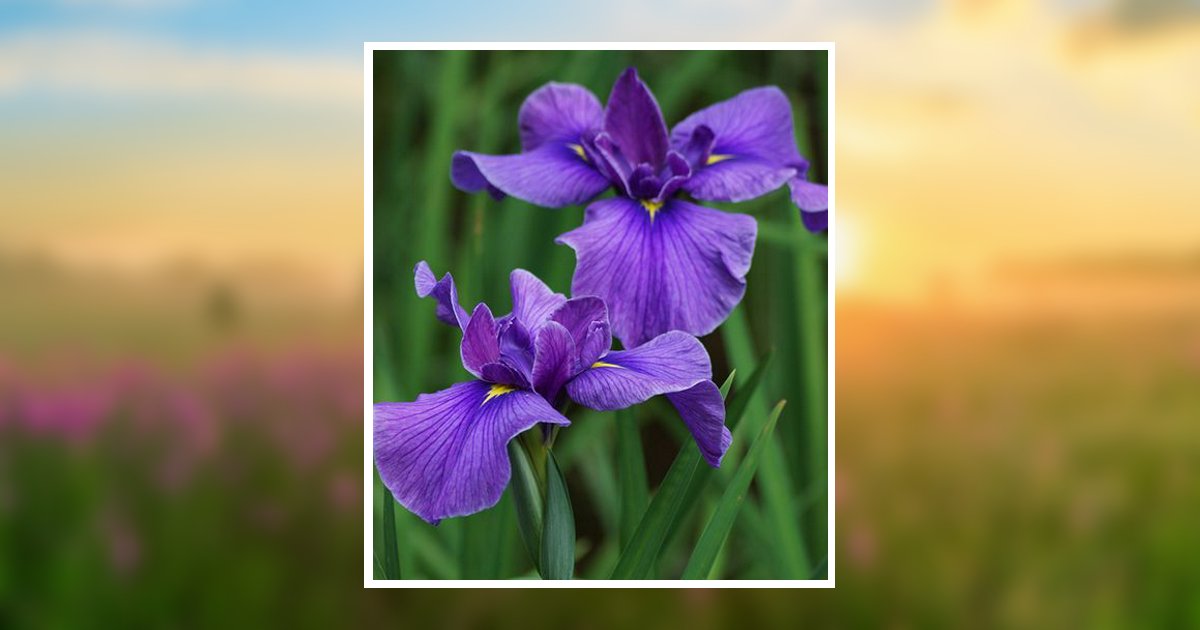 Portrait of Patricia A. MannsLewis