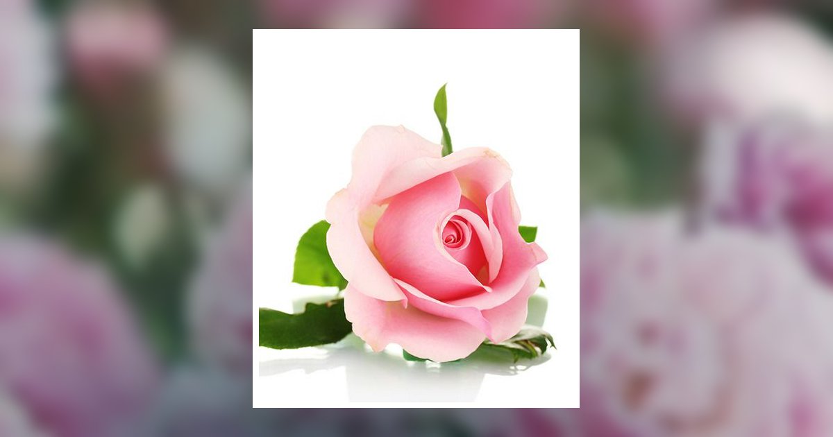 Charlotte Sullivan Obituary, Shreveport, LA