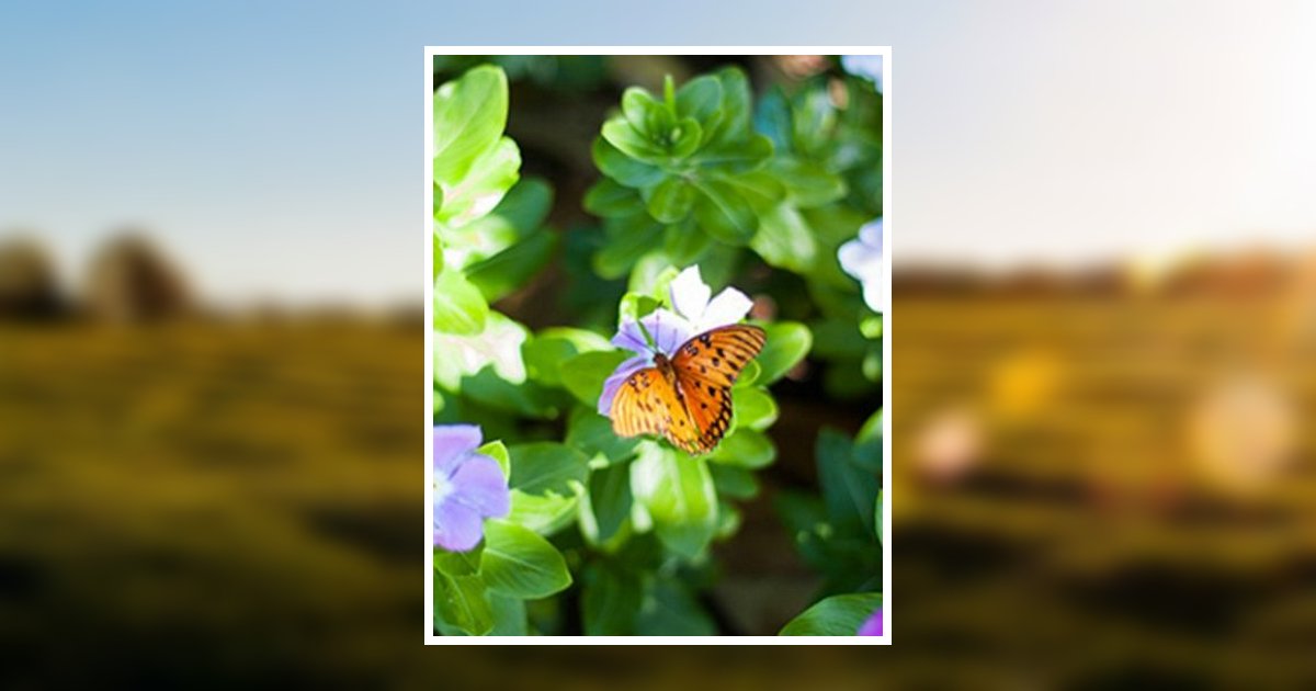 Maureen Janice Gray Obituary, Houghton, MI