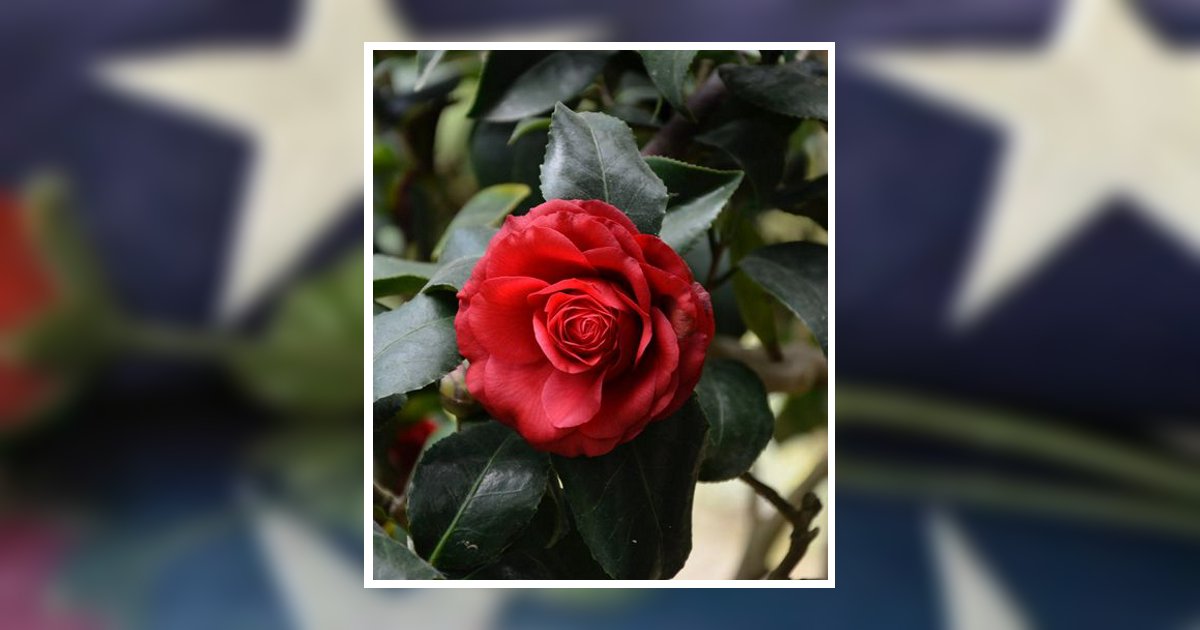 Joann "Susie" Lanter Inverness, FL Obituary