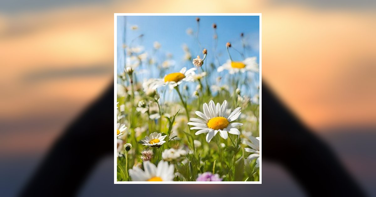 Ann Reddy Obituary, Morrisville, PA