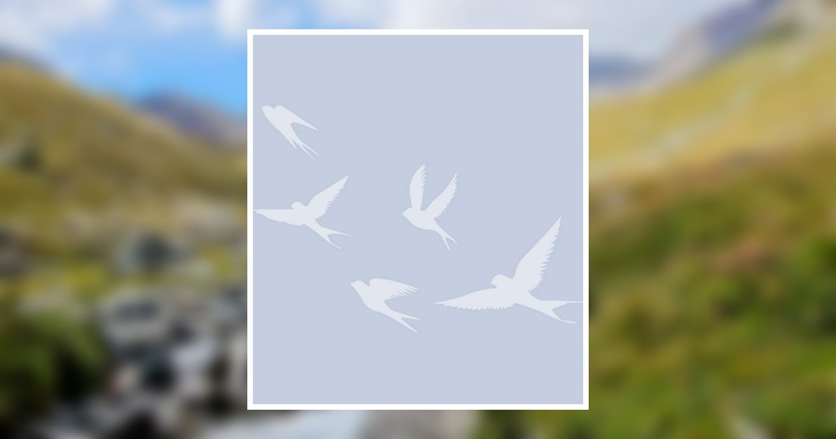 Travis Karl Bright Obituary, Hillsboro, TX