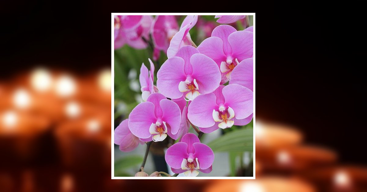 Ana Maria Segura Roman