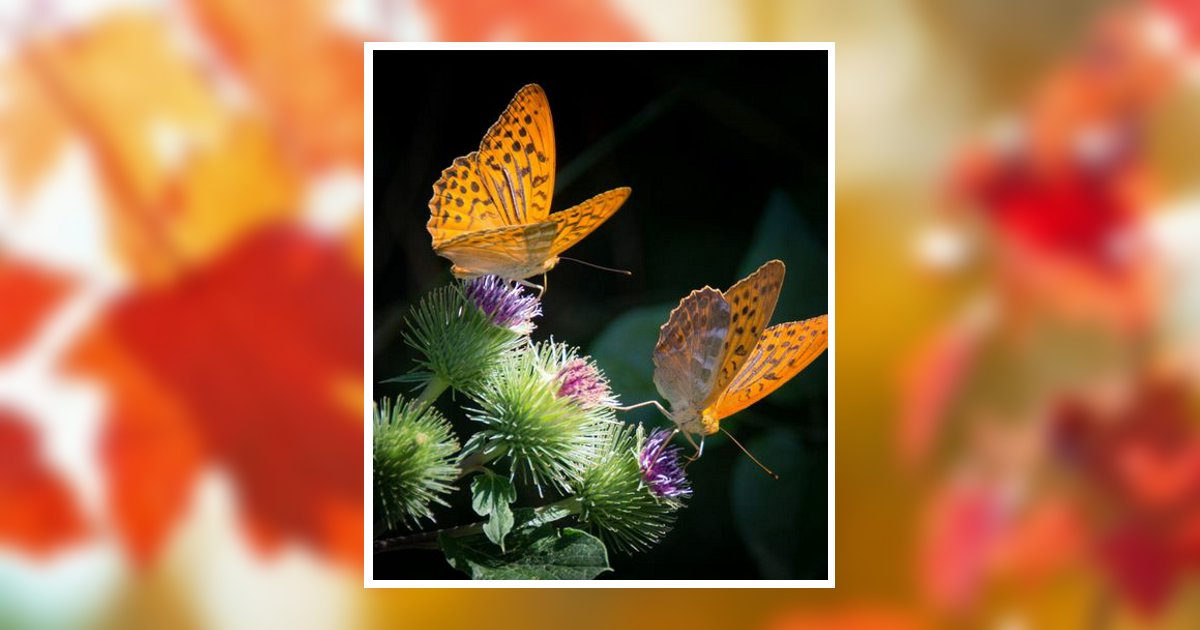 Donna Katherine Gunn