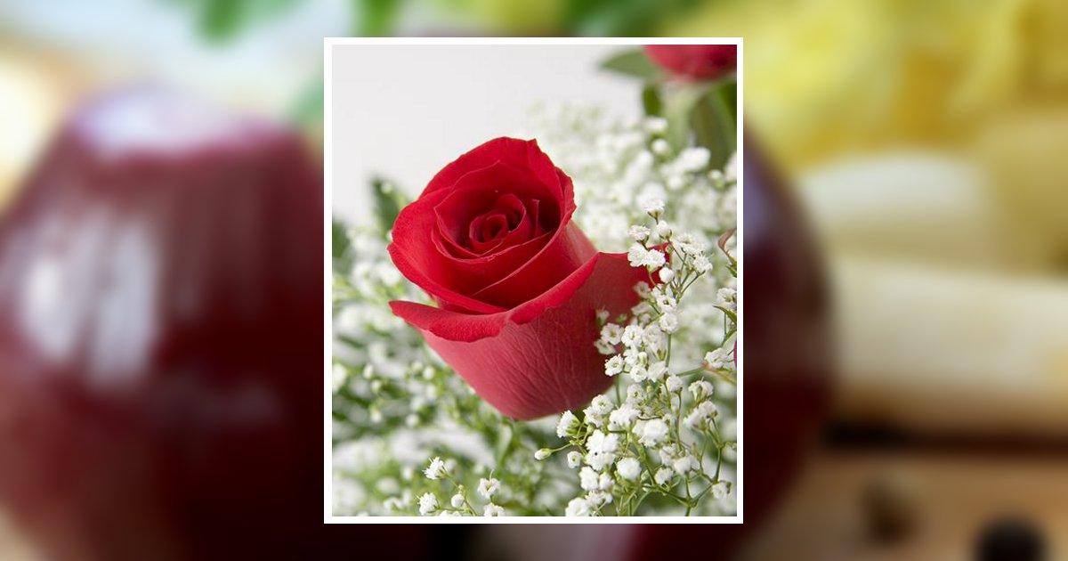 Virginia Carroll Obituary, Morrisville, PA