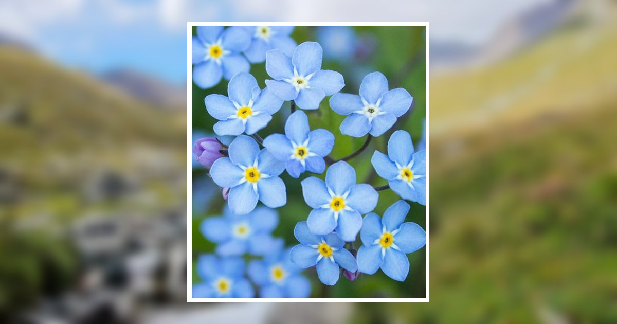 Gerre Goldenberg Obituary, Monroe, NC