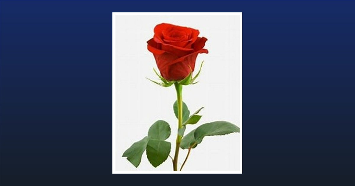 Ruth Johnson Obituary, Garland, NC