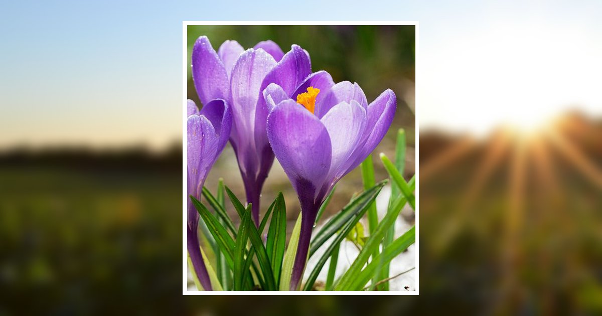 Joyce G. King Milford, NH Obituary