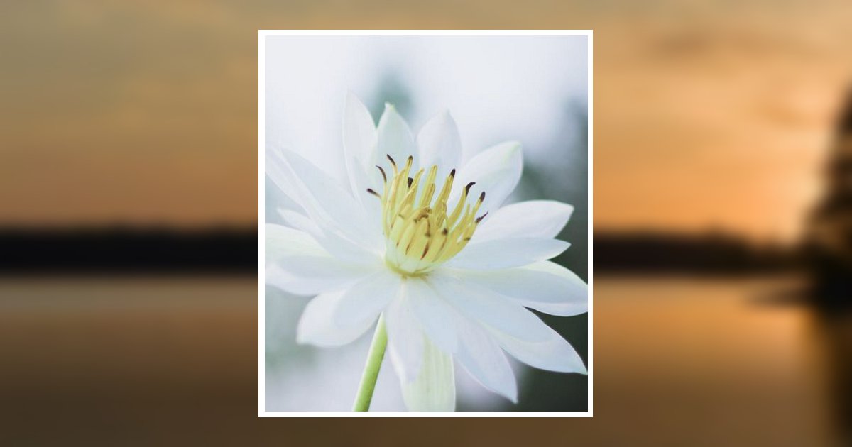 Patsy Bunch Williams Obituary, Jefferson City, TN