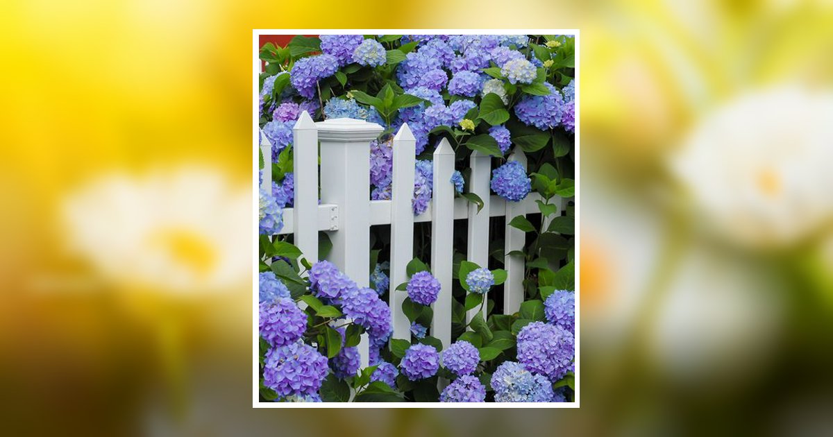 Leonora Badillo Edwards Obituary, Marcellus, MI