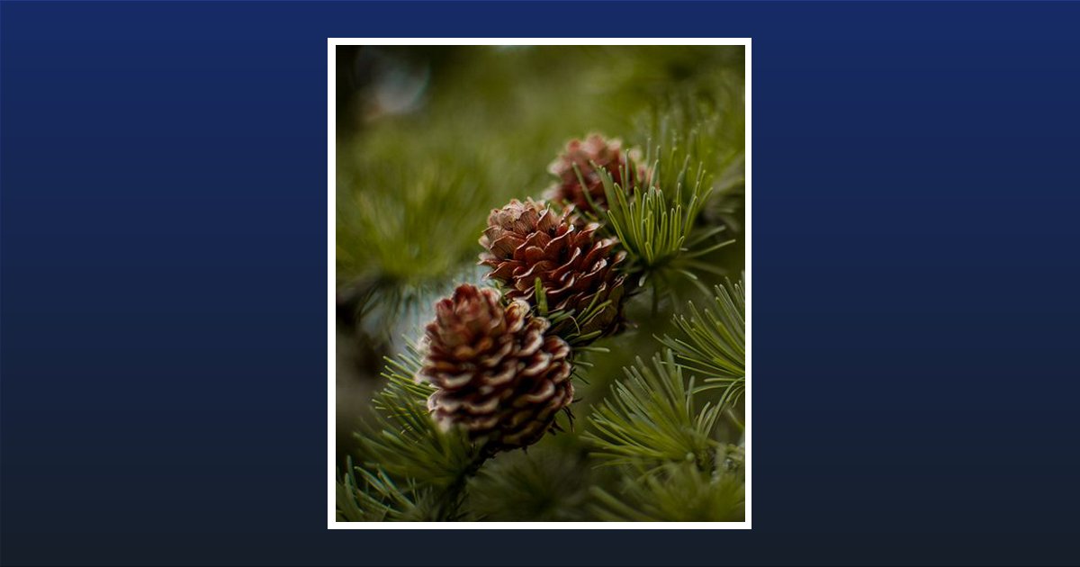 David Loren Snodgrass Lll