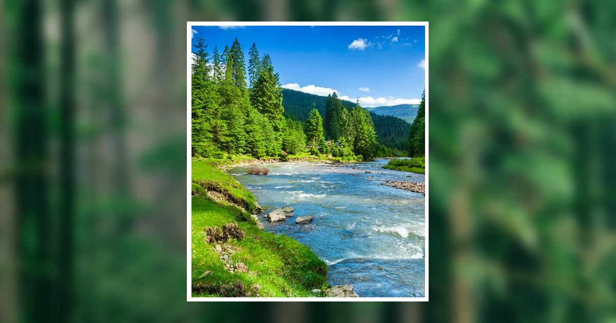 Jr. Charles "Charlie" Greenwood Obituary, Louisville, KY