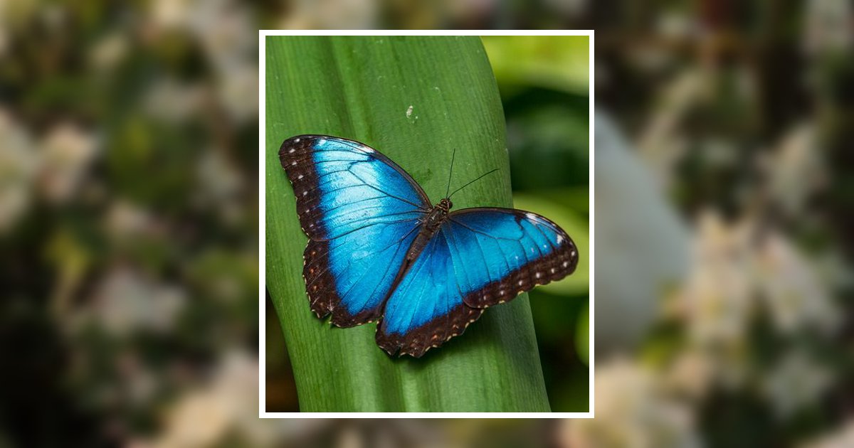 Jacqueline Nicole Orlando Obituary, West Palm Beach, FL