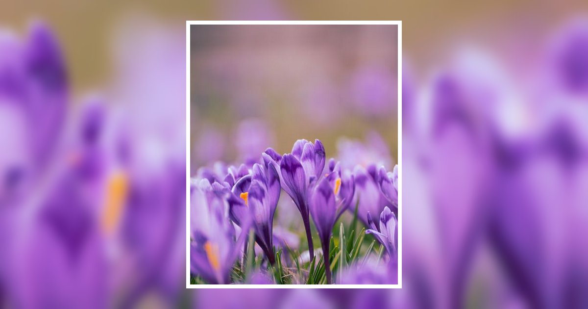 Crystle Marie Murray Obituary, Winter Park, FL