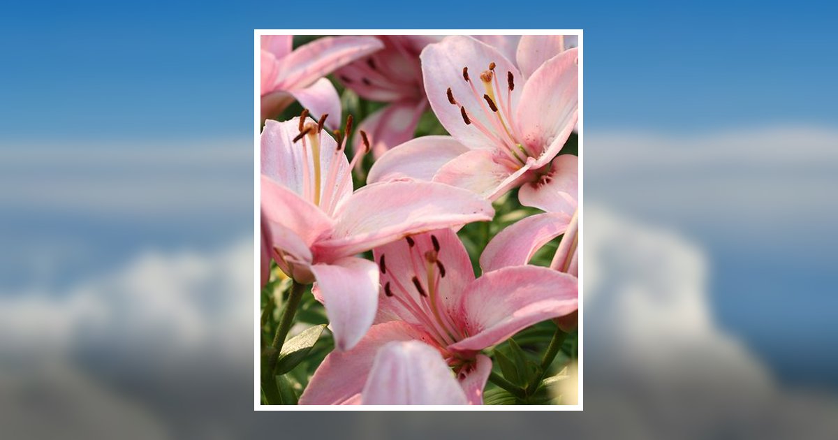 Joann A. Ehlers Obituary, Chippewa Falls, WI