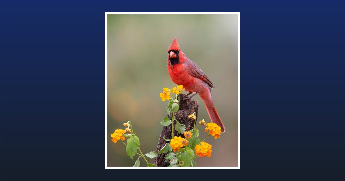 Holly Brakefield Craven Obituary, Chester, SC