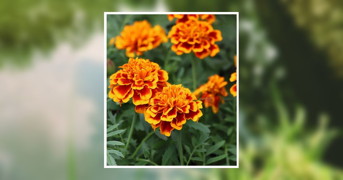 Fannie U. Randall Obituary, Garden City, ID