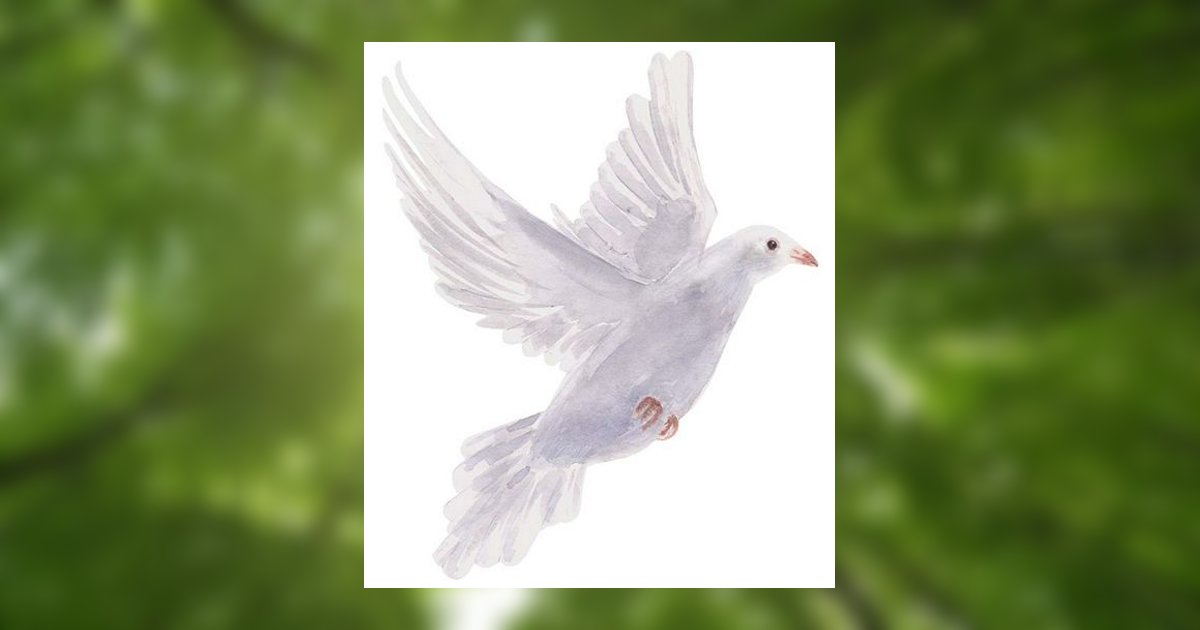 Donald S. Lilly Topton, PA Obituary