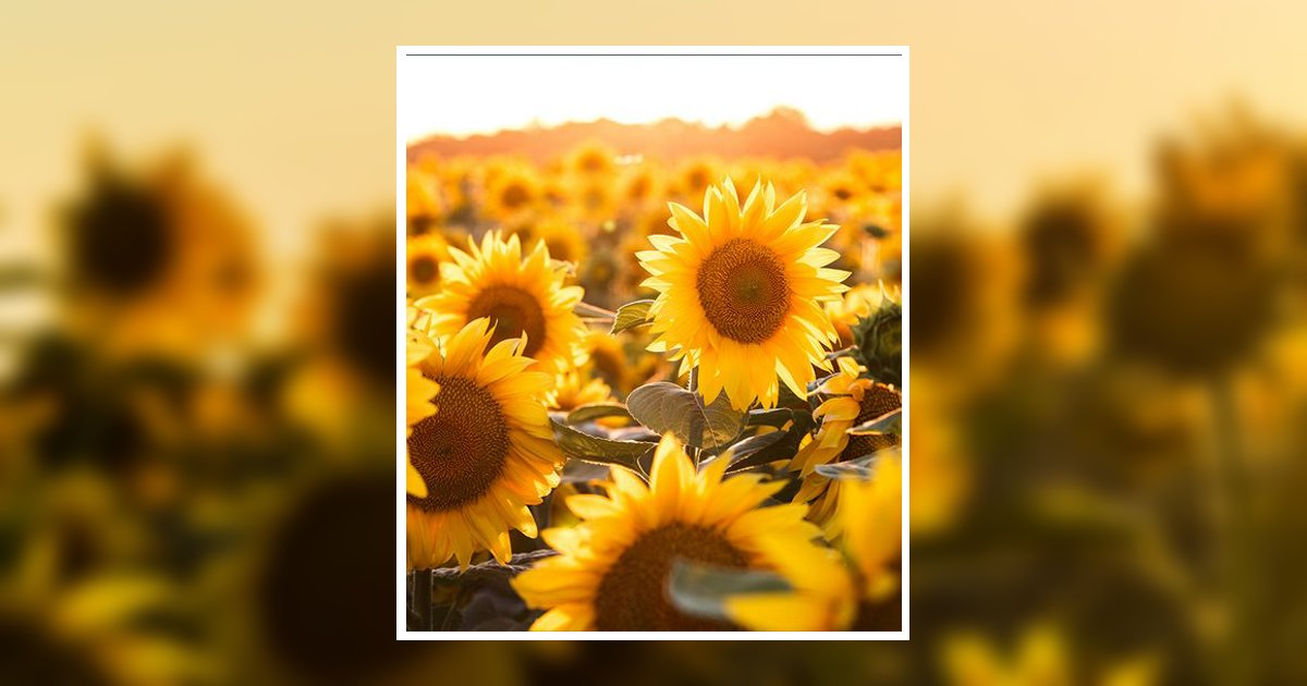 Portrait of Shakonda S Walker