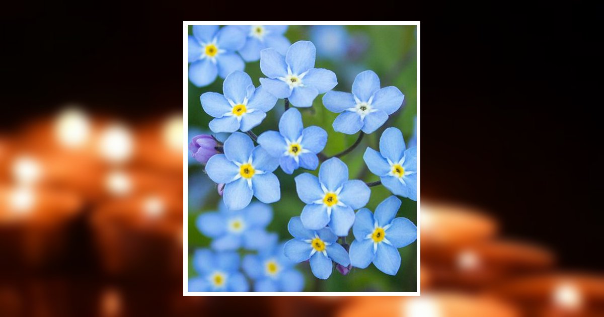 Wanda Noland Obituary, Dumas, TX