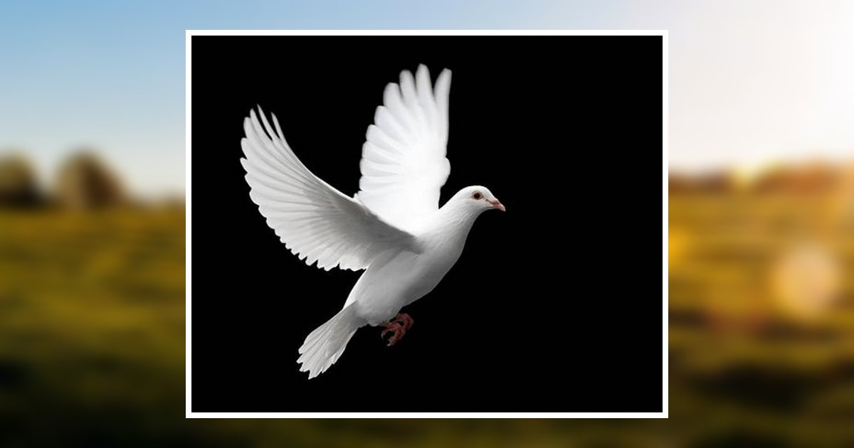 James Jackson Obituary 2023 Thurman Funeral Home