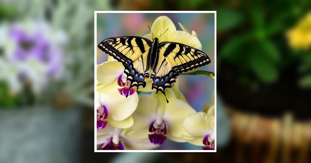 Marion Gultch Obituary, Waterford, WI