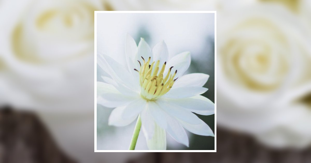 Joan Ellen Quintana Obituary, Quinlan, TX