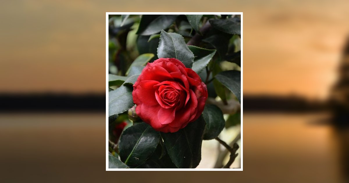 Carol Lynn Ockfen Obituary, Long Beach, WA