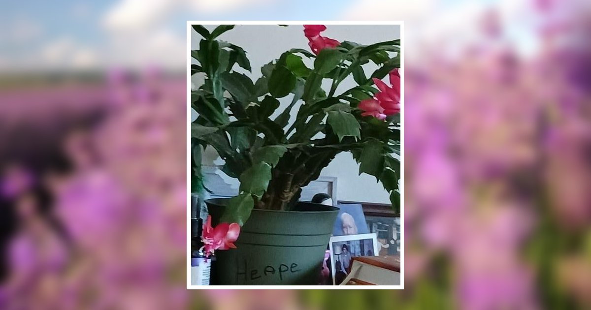 Mary Lynd Heape Orangeburg, SC Obituary