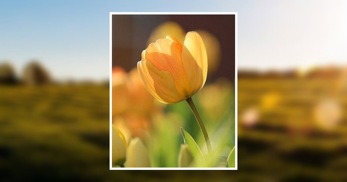 Sandra J. Anderson Obituary 2021 Grenoble Funeral Home, Inc and