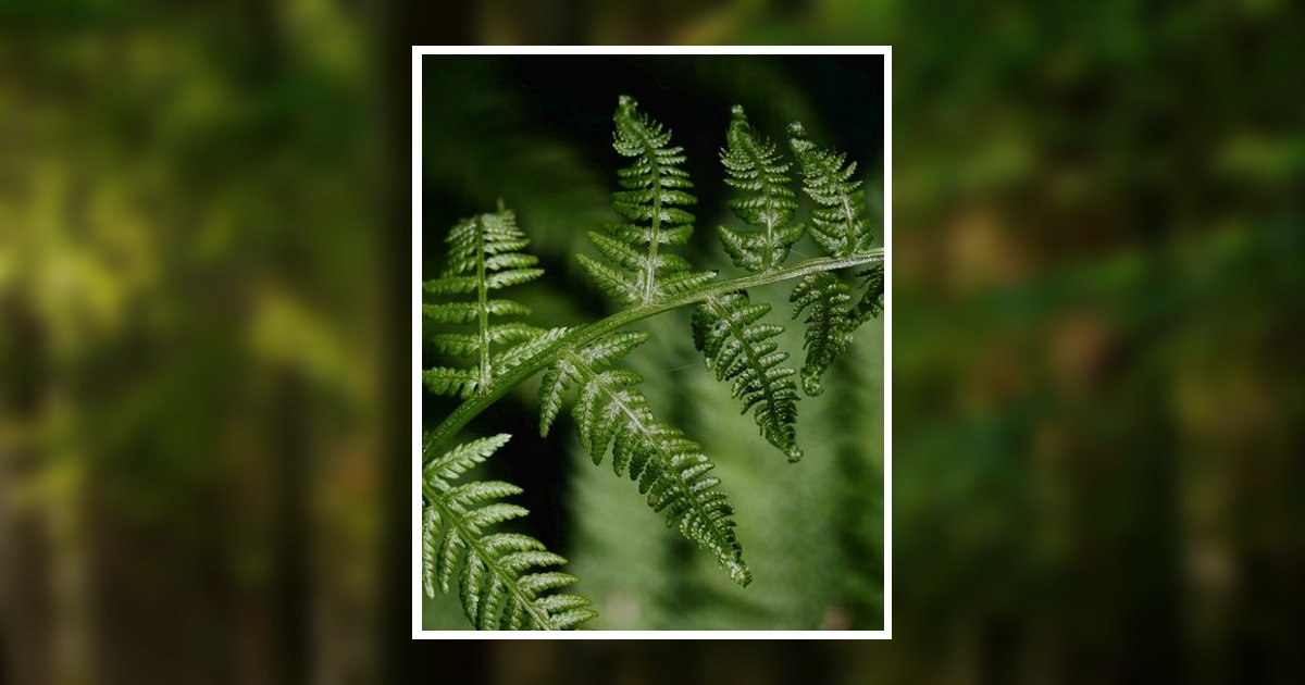 Claude Sylvester Rice, Jr. Obituary 2024 BradfordO'Keefe Funeral Homes