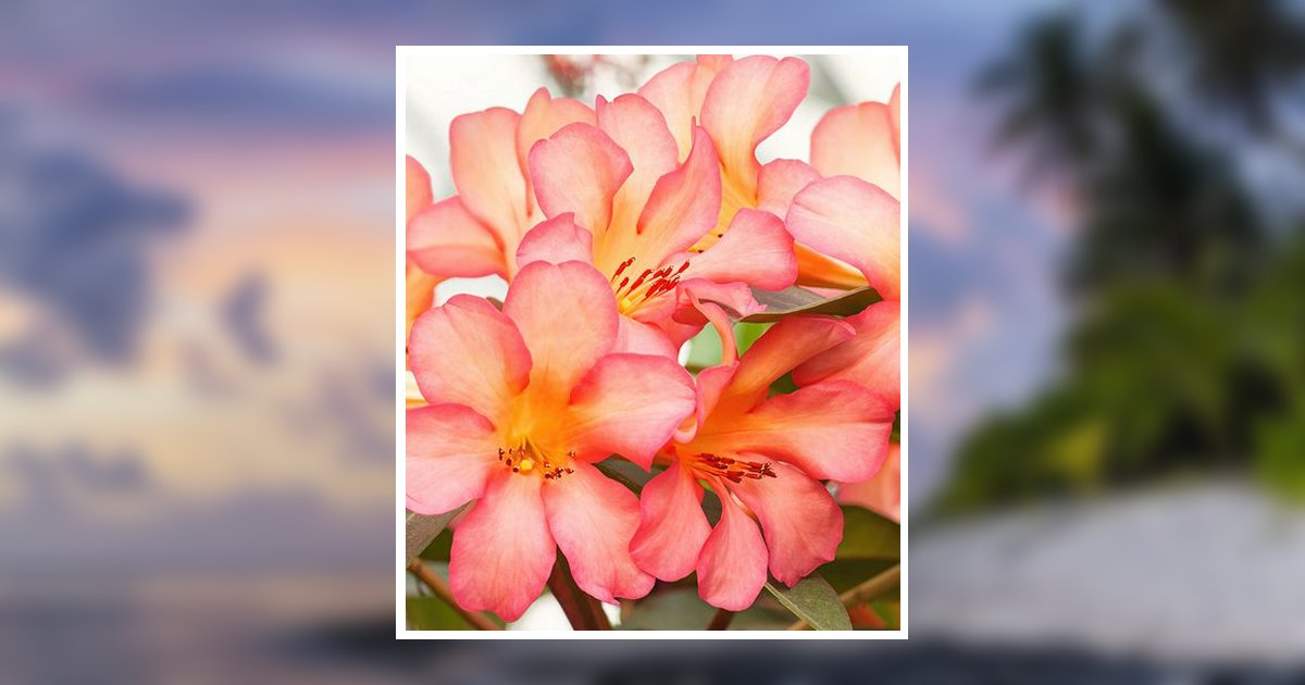 Ana Tataje Obituary, Bergenfield, NJ