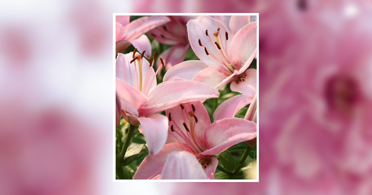 Irma Louise Flaningam