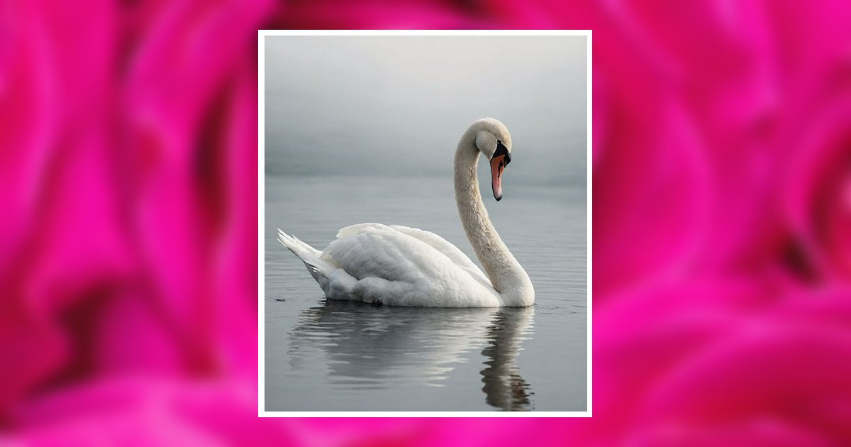 Elizabeth Burroughs Obituary, Mountain City, TN
